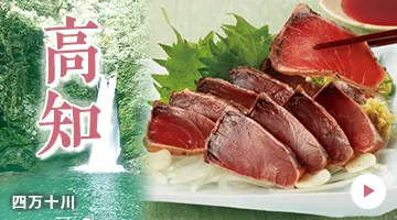 高知