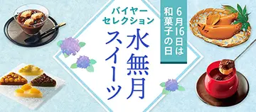 6月16日は和菓子の日 バイヤーセレクション 水無月スイーツ