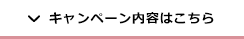 キャンペーン内容はこちら