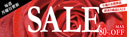 毎週月曜日更新 SALE 今週のお買得品 訳あり商品SALE MAX80%OFF