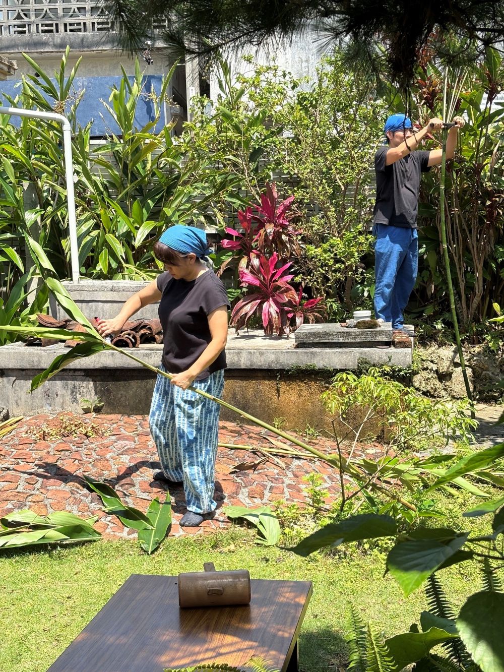 植物を民具を作るための材料に加工している風景