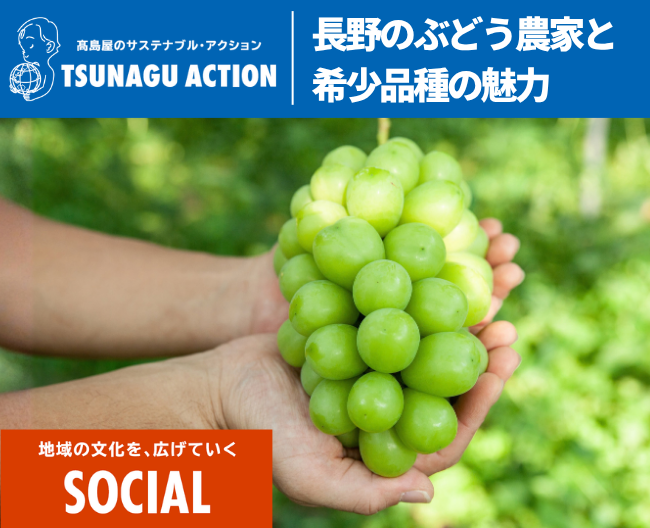 次世代へつなぐ、長野のぶどう農家と希少品種の魅力