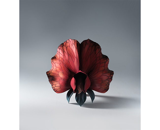 「A Species of Floral Organ: 320 A.D. “花器官の一種：西暦320年”」H24×W28.5×D22㎝ 檜