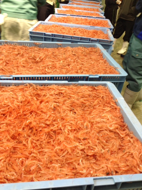 ヒシダイ大石商店