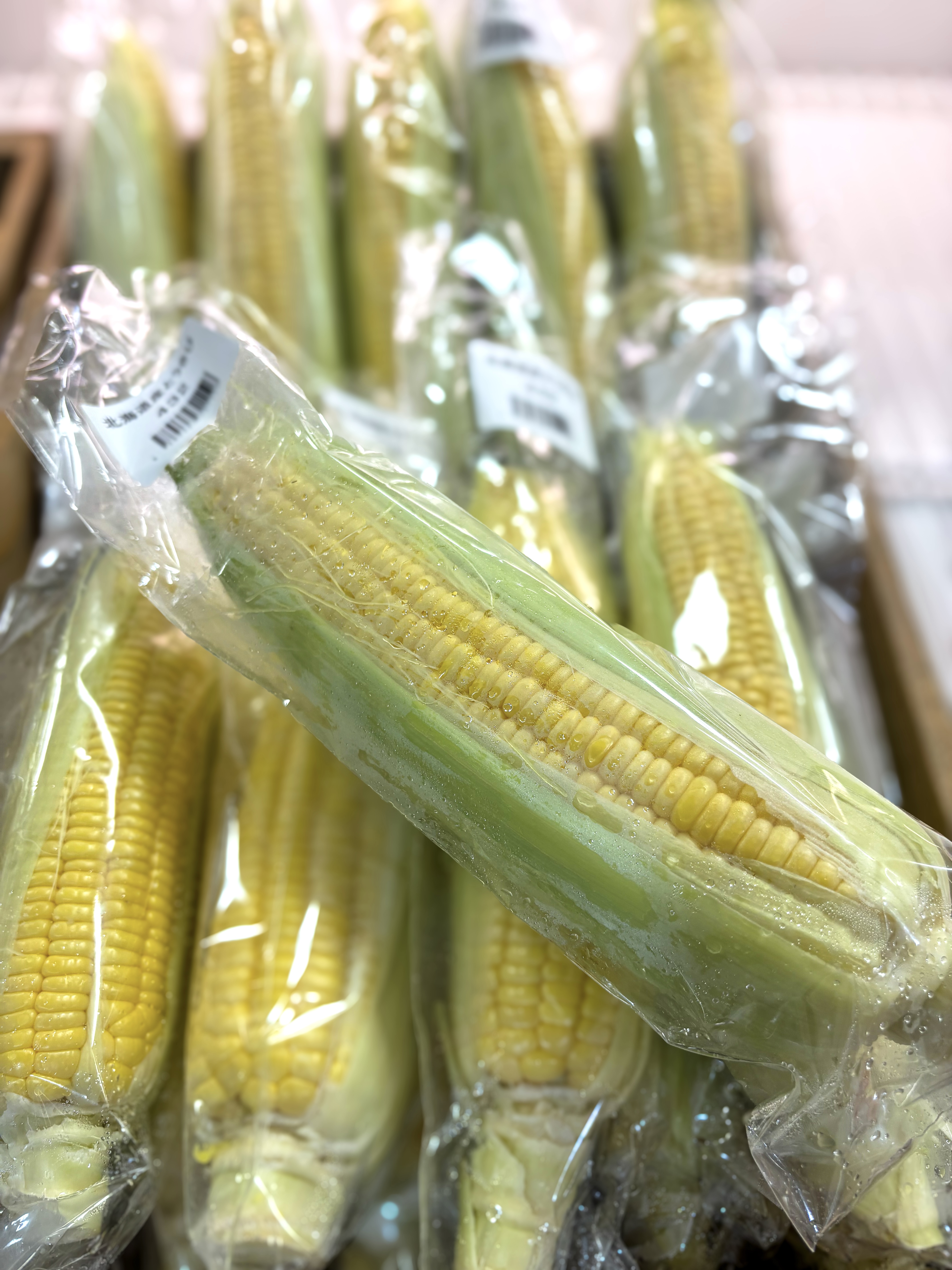 秋とうきび