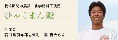 ひゃくまん穀生産者 裏貴大さん