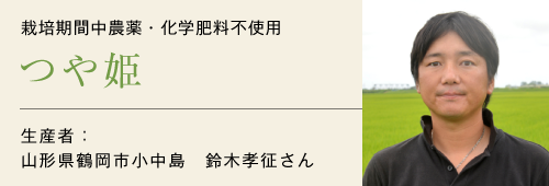 つや姫生産者鈴木孝征さん