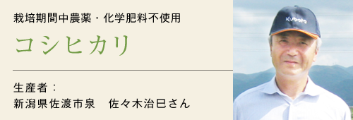 コシヒカリ生産者佐々木治巳さん