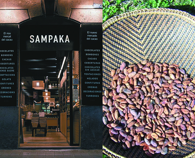 カカオサンパカの店とカカオ豆の写真