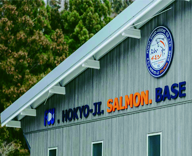 サーモンベースの写真