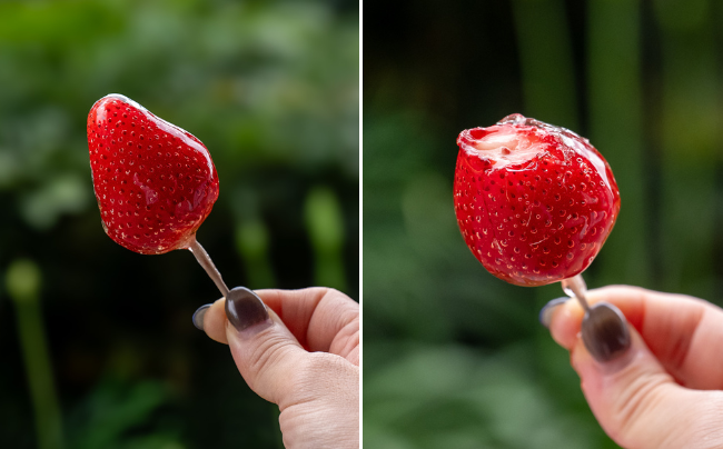 ［SEN’s Berry Farm］フローズンいちごあめ
