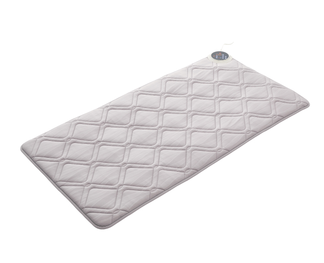 西川ヘルシオン