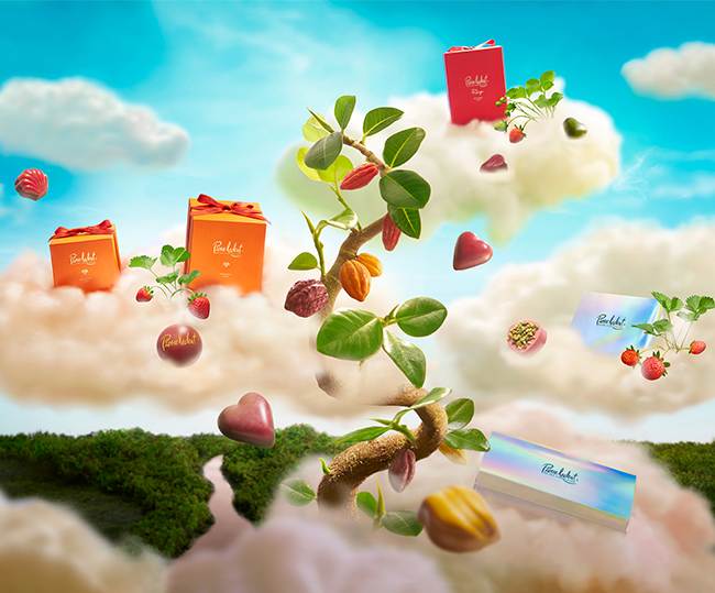 ピエール・ルドンのチョコレートのイメージ写真