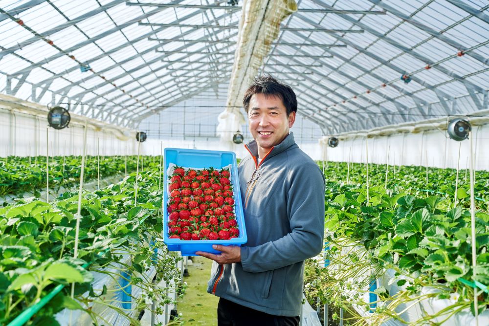 うらかわ菅農園の菅社長といちごの画像