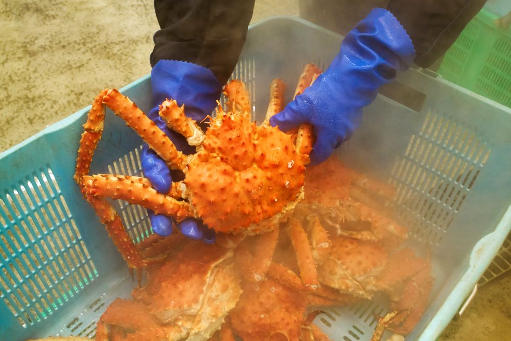 タラバカニの画像