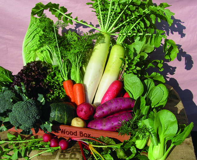 ［オーガニック・ハーベスト丸山］の野菜