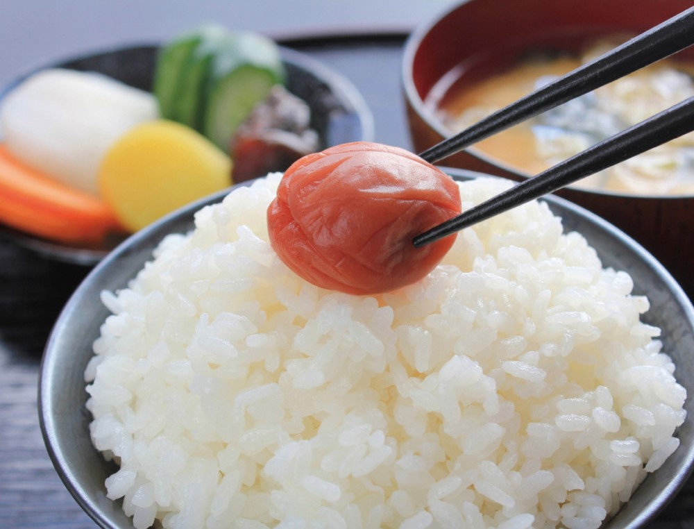 仙人梅干しをご飯の乗せている画像