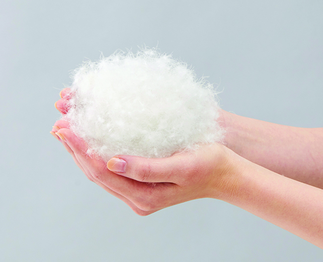 ダウンボールの写真