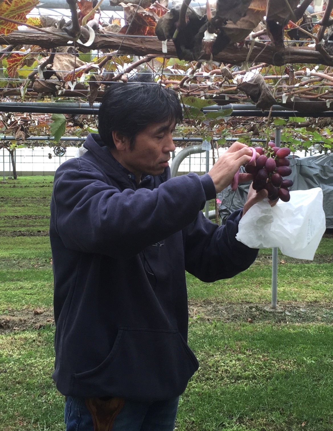大村農園の大村竜平さん