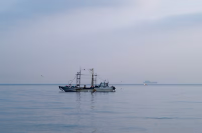 琵琶湖の風景