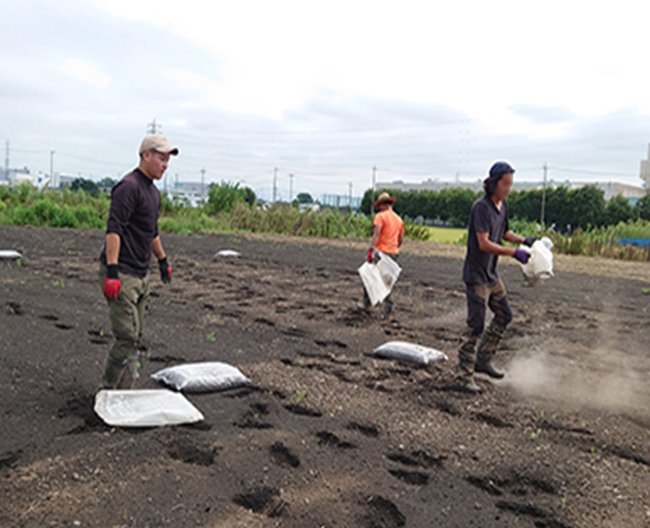 発酵鶏糞を畑に散布している写真