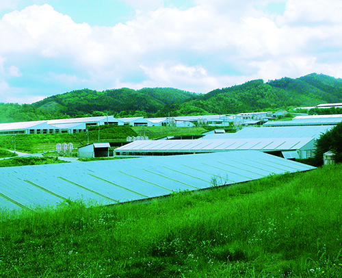 緑の中の藤沢牧場の写真