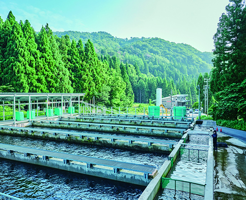 養殖場の写真