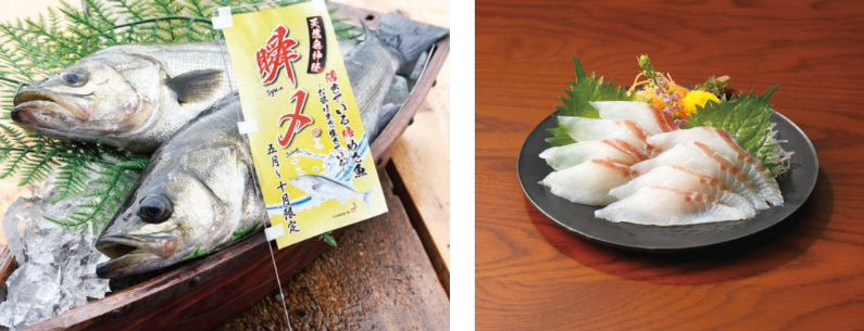 千葉県船橋産の瞬〆すずき1尾が船形皿に盛られた様子とお造りがお皿に盛られた様子