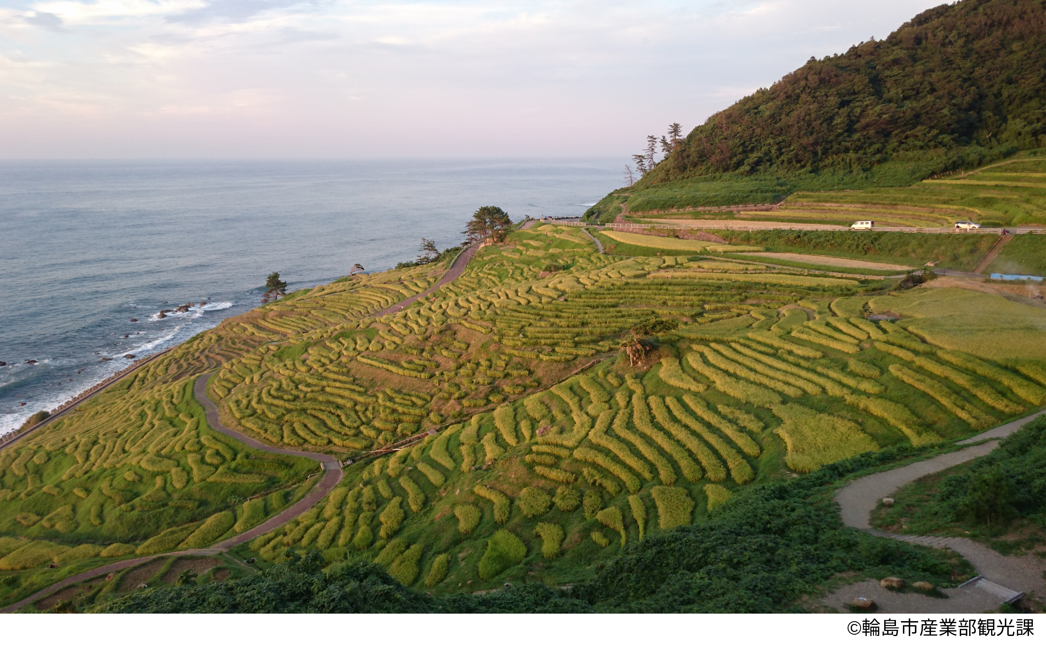 輪島市白米町「白米千枚田」