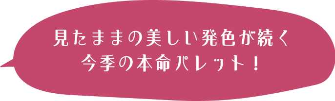 見たままの美しい発色が続く 今季の本命パレット！  