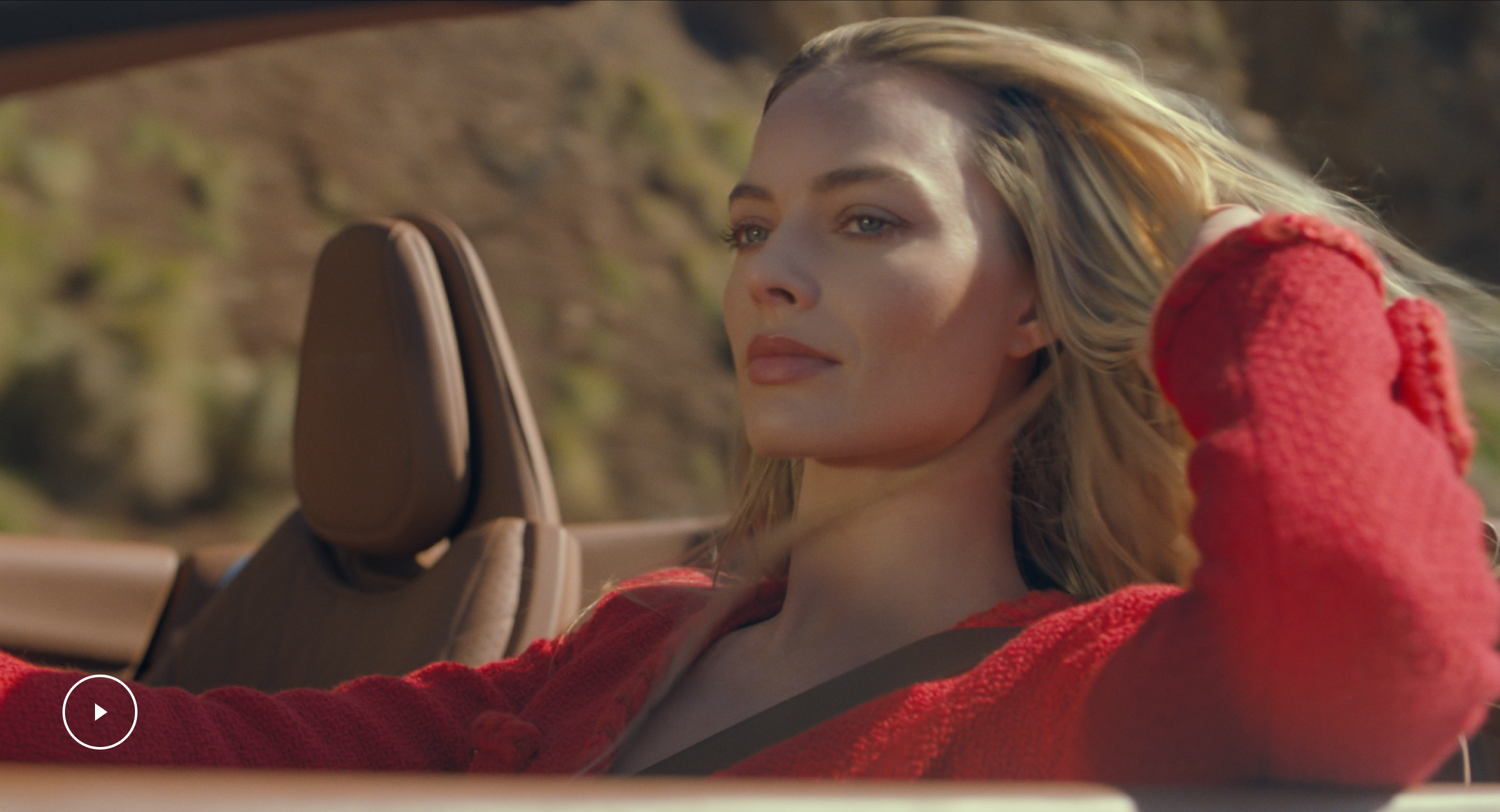 動画を再生する