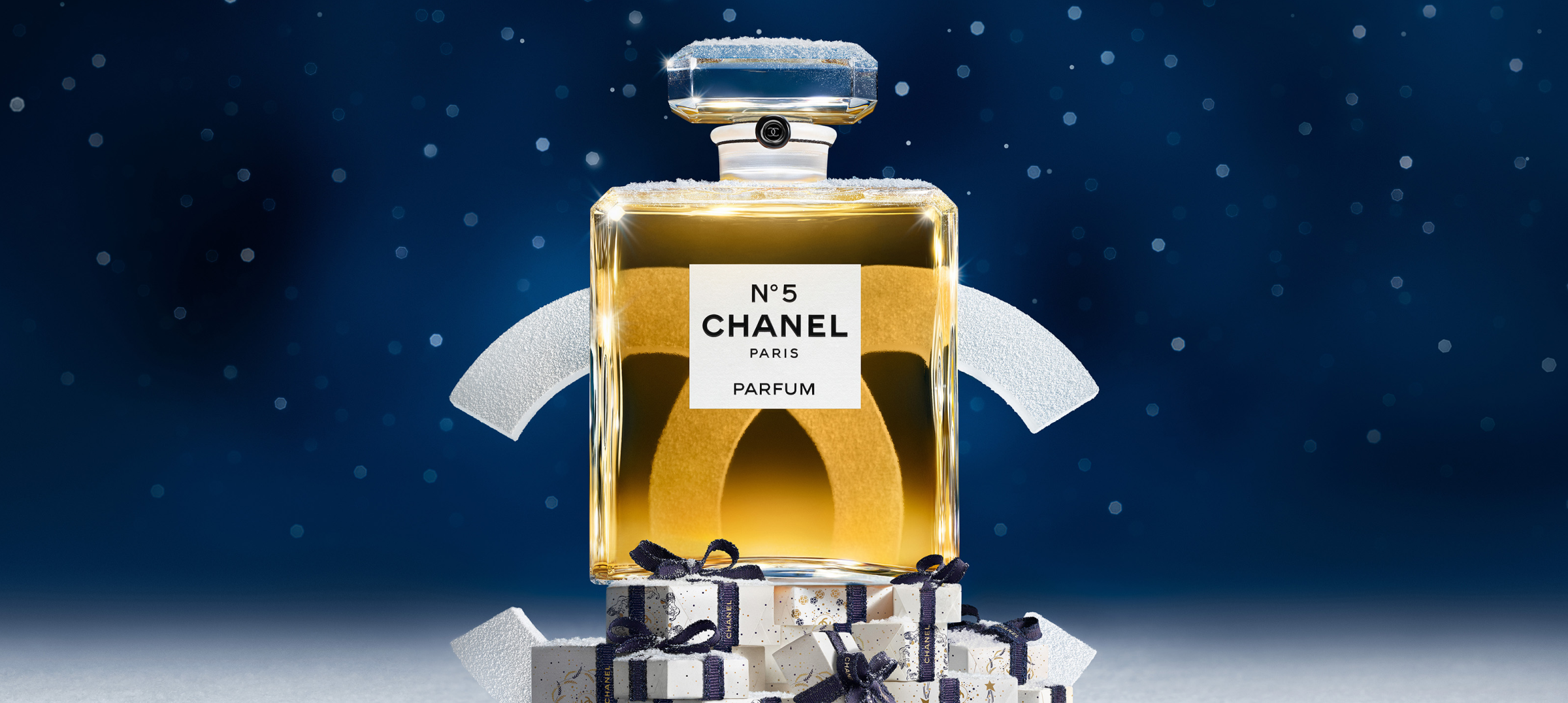 CHANEL WINTER CONSTELLATION - シャネルの星空
