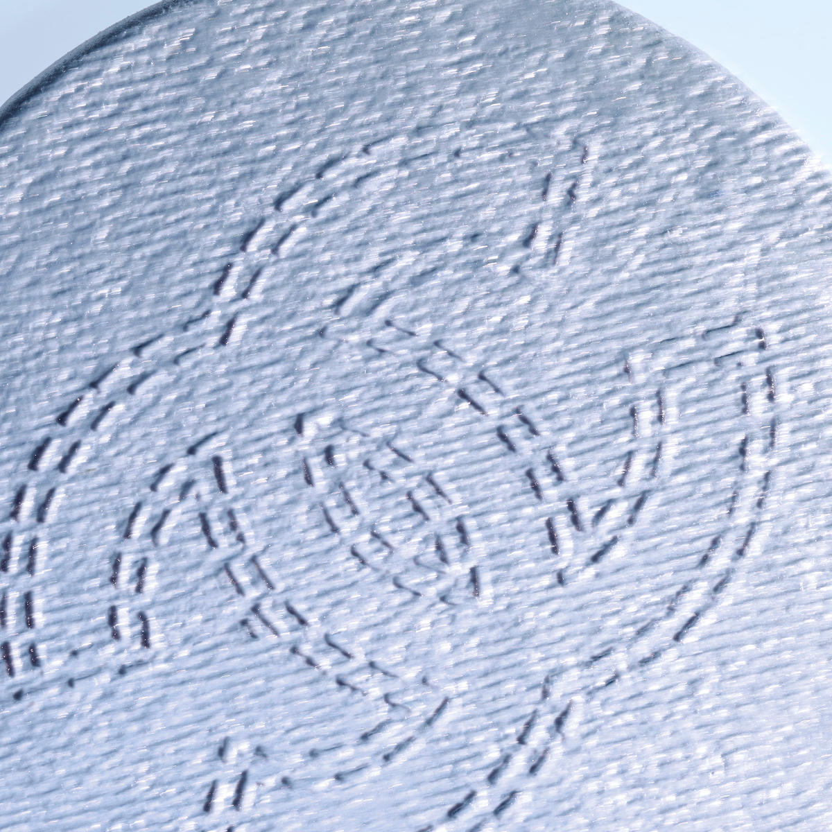 特別限定品 ココ デニム