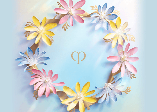 Radiance Wreath ギフトコレクション2025