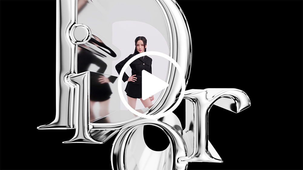 Dior Addict Fashion Case
