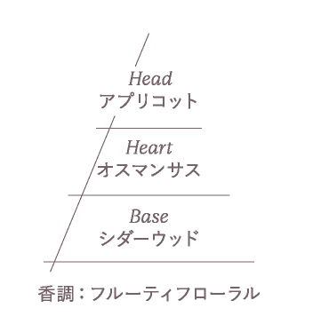 オスマンサスアブリコ オードトワレのビラミッド画像