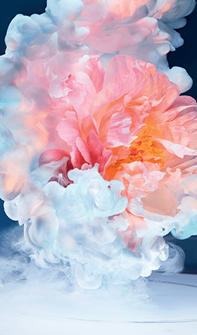 image of Fragrance 1