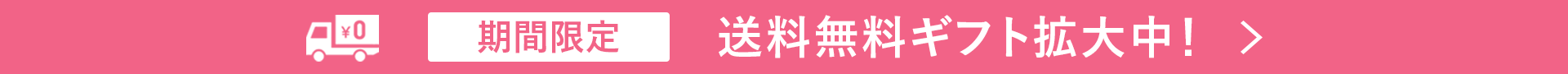 期間限定 送料無料ギフト拡大中
