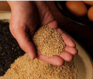 甘く香ばしい「白ごま」、深いコクの「黒ごま」 イメージ画像