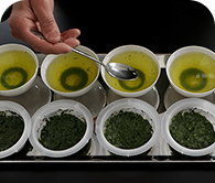 茶葉を見極める「茶鑑定」