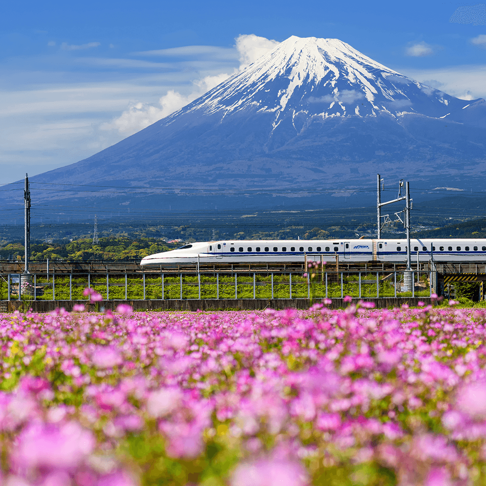 帰省の手みやげ