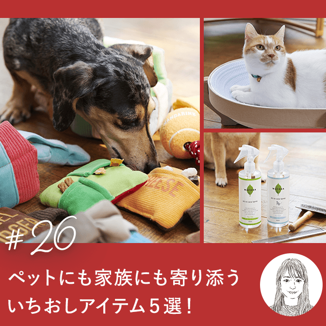 ペットにも家族にも寄り添ういちおしアイテム5選！