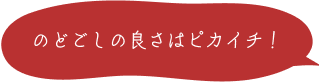 のどごしの良さはピカイチ！ 
