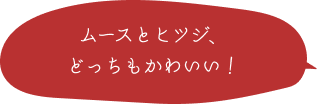 ムースとヒツジ、どっちもかわいい！