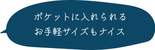ポケットに入れられるお手軽サイズもナイス