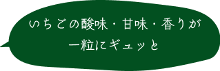 いちごの酸味・甘味・香りが 一粒にギュッと