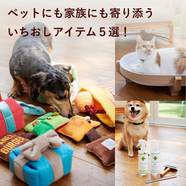 ペットにも家族にも寄り添ういちおしアイテム5選！ 