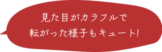 見た目がカラフルで、転がった様子もキュート！ 