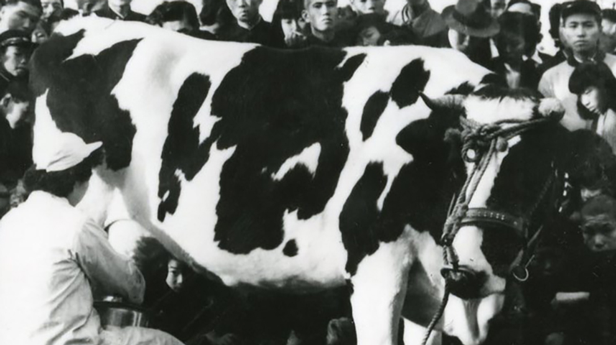 70年を辿る、高島屋大北海道展アーカイブ