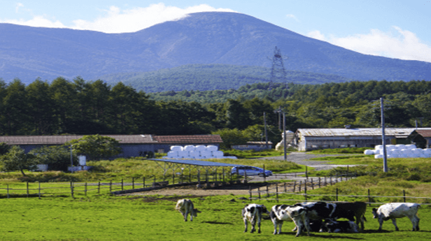 お買物で環境貢献！カーボン・オフセット付のアイスやチーズをご紹介
